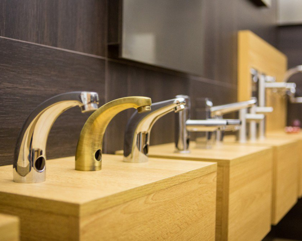 Sanela, profil společnosti